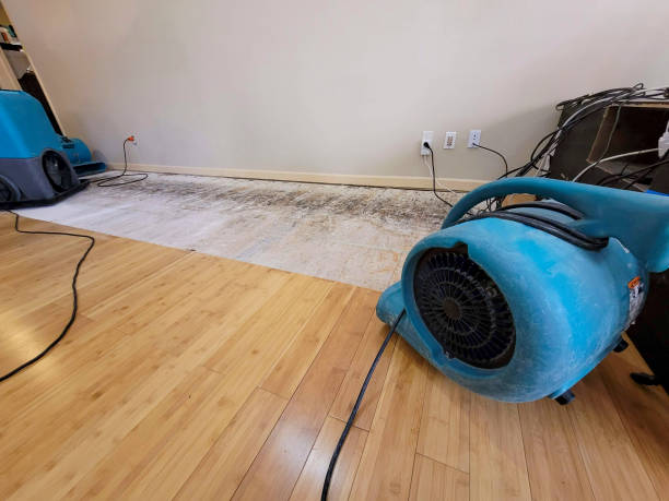 Professional Water Damage Repair technician working in Medinah, IL